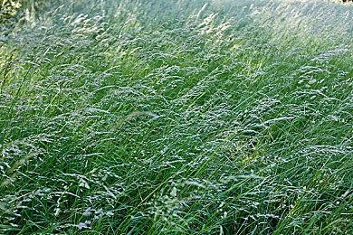 《忍者神龟：变种释放》预告片发布 预计2024年10月18日推出